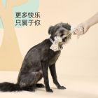 MPETS狗狗玩具耐咬绳结小型犬泰迪磨牙中大型犬拔河互动解闷神器