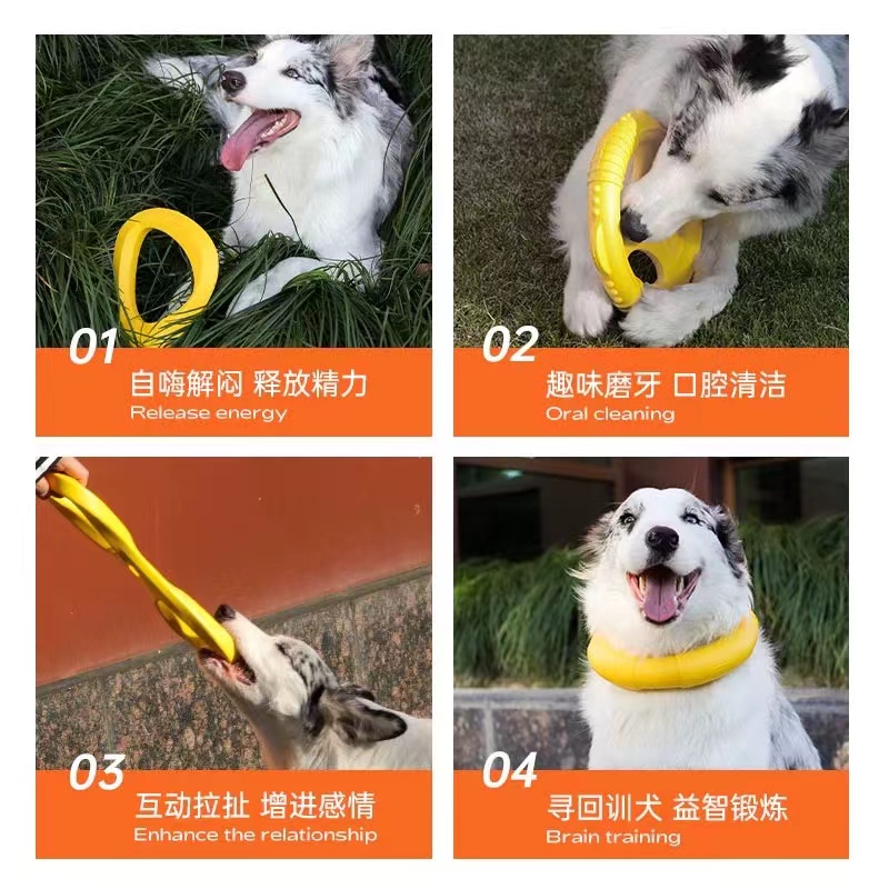 飞盘